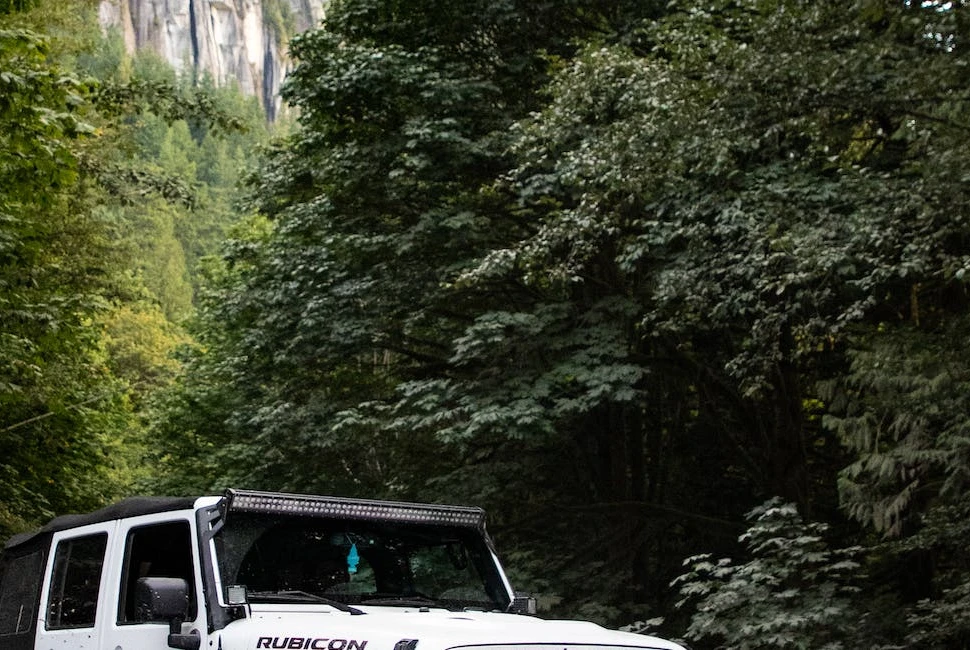 Exploring Beyond Sidney: Road Trips from the Heart of Montana